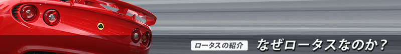 ロータスの紹介　なぜロータスなのか？